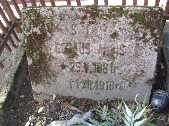 Alois Goraus 1881 Krzyżowice - Grobonet - Wyszukiwarka osób pochowanych